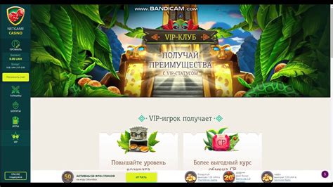 Казино netgame мобильная версия